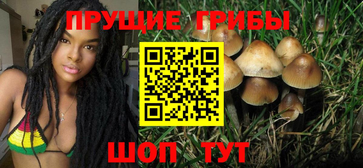 Псилоцибиновые грибы мухоморы Серов